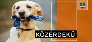 Eboltás – KÖZÉRDEKŰ INFORMÁCIÓ