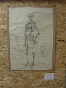 IMG_0489