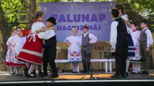 Falunap 2024. június 28-29.