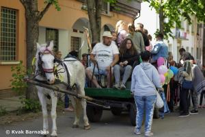 IMG 7599